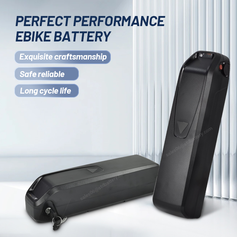 ALX Hailong ebike batterie 36  - Ebike Battery 48V 20Ah Hailong avis et prix