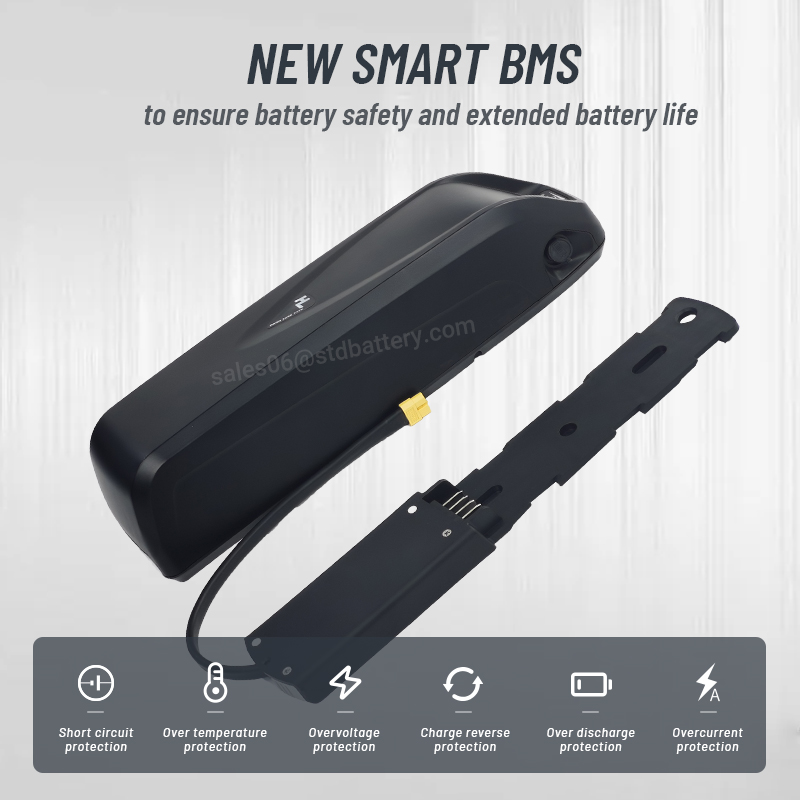 Hailong-Batterie pour vélo éle - Ebike Battery 48V 20Ah Hailong avis et prix
